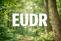 EUDR: Afklaringer om HS48/HS49 og downstream‑roller forventes i april 2026